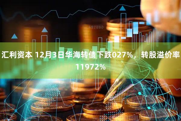 汇利资本 12月3日华海转债下跌027%，转股溢价率11972%