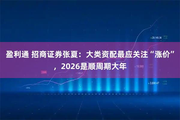 盈利通 招商证券张夏：大类资配最应关注“涨价”，2026是顺周期大年
