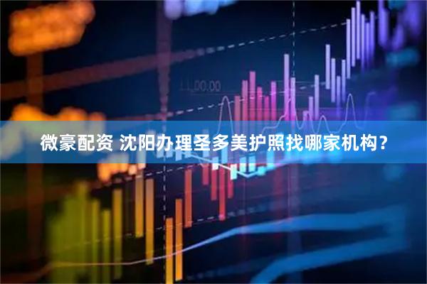 微豪配资 沈阳办理圣多美护照找哪家机构？